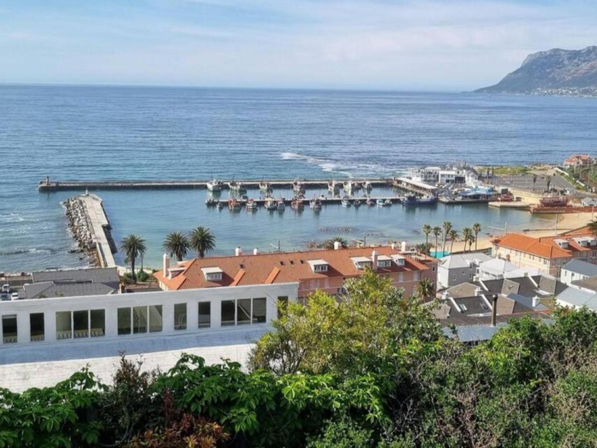 The Dragon Tree Guesthouse Kalk Bay Exteriör bild