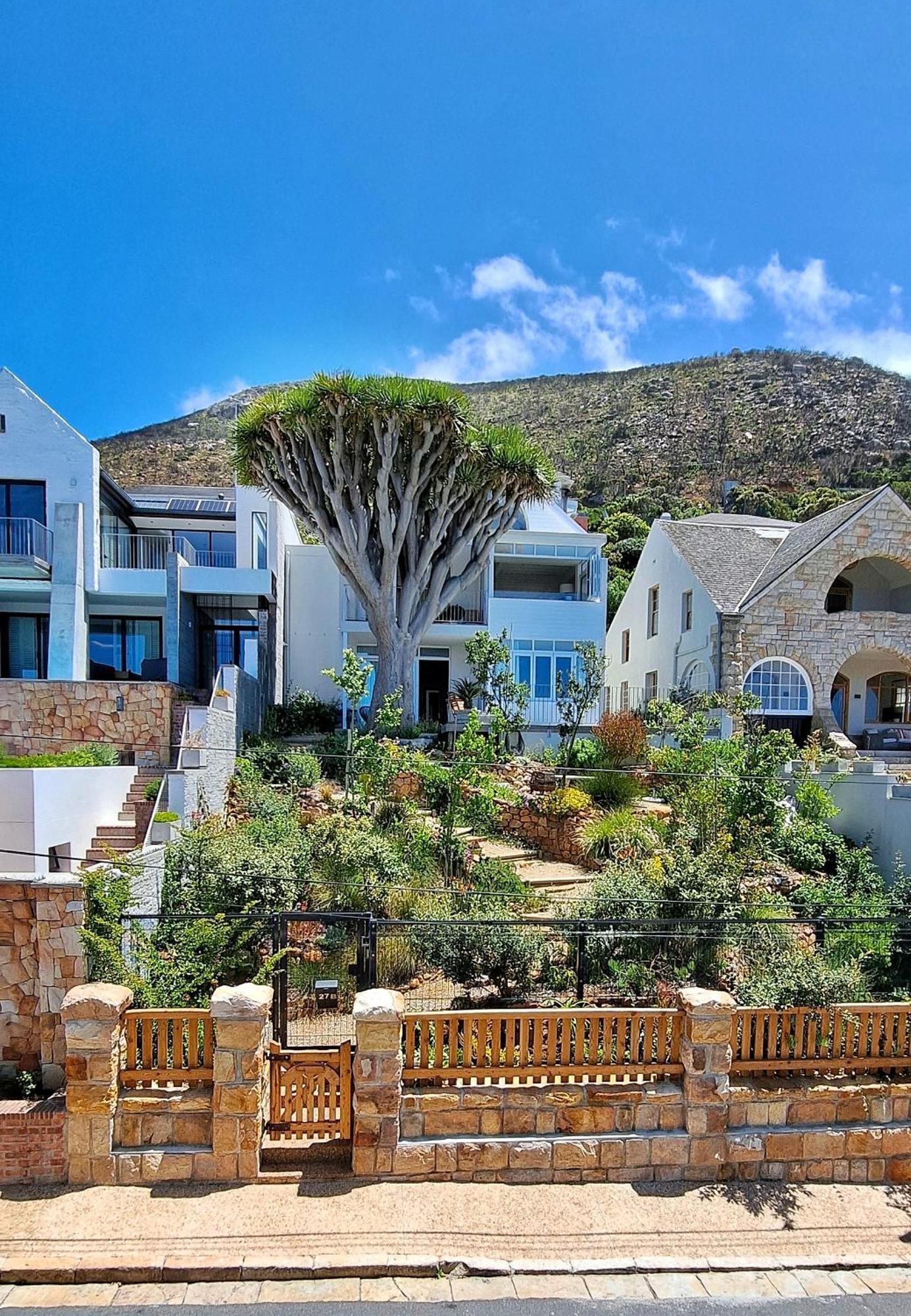 The Dragon Tree Guesthouse Kalk Bay Exteriör bild