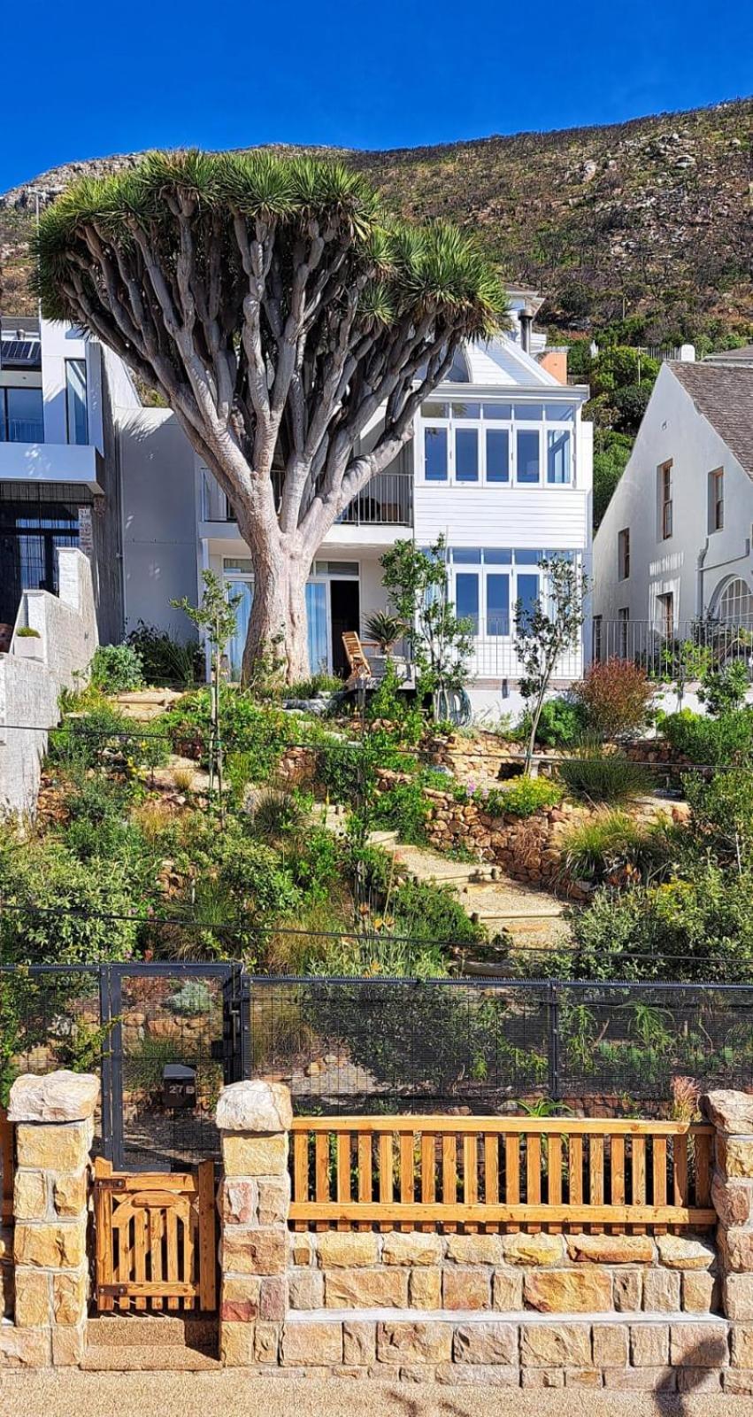 The Dragon Tree Guesthouse Kalk Bay Exteriör bild